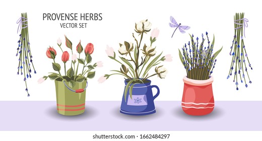 Provence floral vector set. Big flat natural flower plant bouquet collection with lavender, rose and cotton in a pot.