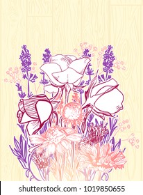 provence flower vector card rose