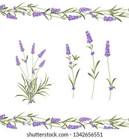 Set Lavender Flowers Elements Botanical Illustration Stock Vector ...