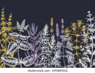 Provence herbs background on a chalkboard. Hand-sketched aromatic and medicinal plants design. Perfect for cosmetics, perfumery, menu, label, packaging. Organic ingredients template. Botanical banner