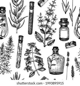 Provence herbs background in vintage style. Seamless pattern. Hand-sketched aromatic and medicinal plants backdrop. Perfect for cosmetics, perfumery, soap, candle making, label, packaging. 