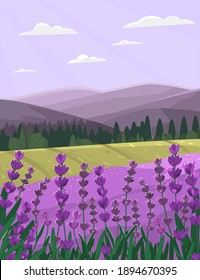 Provence Landscape With Lavender Field. Countryside Vector Illustration.