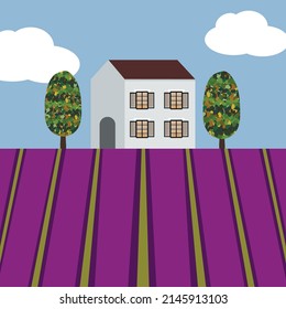 Provence landscape with lavender field, flat design, vector illustration. Old house with trees.