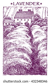 Provence landscape with lavender. Vector hand drawn graphic illustration.