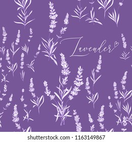 Provence lavender seamless pattern background. Fine botanical illustration on purple lavender background. Vintage style lavender outline sketches drawn white ink or pen.