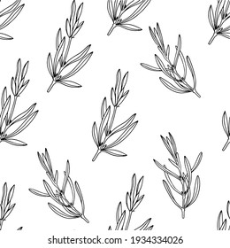 Provence leaves pattern black and white style art line delicate print on fabric spring print summer mood paper packaging spring ornament plant pattern vintage decoration botanical print vector