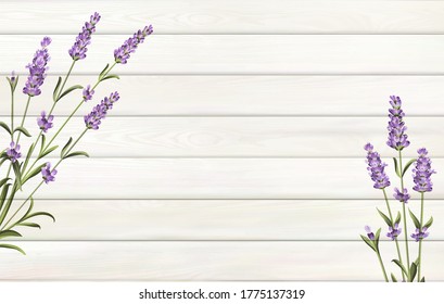 Provence template for your design. Lavender flower on wooden background with empty space