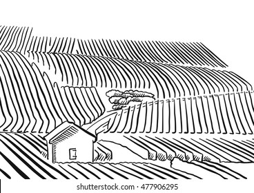 Provence Vineyard whith hills and small House, Vector Sketched Outline Artwork