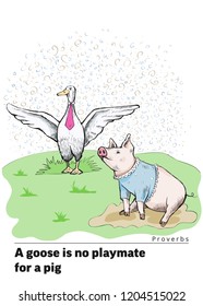 Proverbs and sayings. A goose is no playmate for a pig. A proud goose in a tie stands on the grass with outstretched wings. A piggy sits in puddle in a village shirt. Piglet looks gently at the goose.