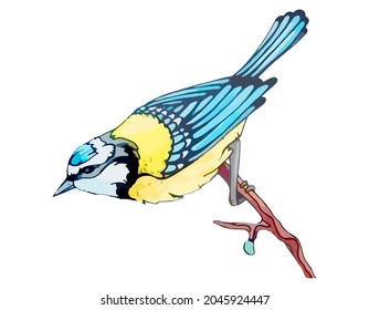 Provincial tit bird on tree for natural decor. Titmouse with blue and yellow feathers sits on branch. Decoration element for vintage or rural motif in watercolor style. Vector isolated illustration
