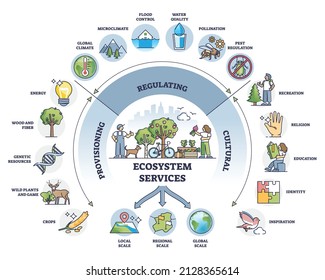Provisioning, regulating and cultural services division outline diagram. Labeled educational ecosystem services subdivision explanation with structured categories and examples vector illustration.
