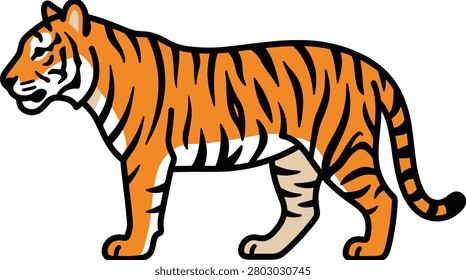 Prowling wild tiger walking full body side view vector illustration.