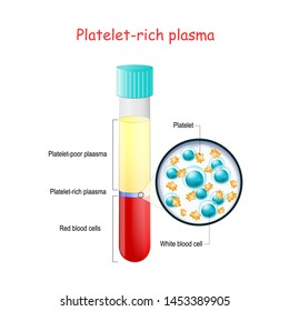 PRP. test tube with blood and platelet-rich plasma. Components of blood. Vector diagram for educational, medical, biological and science use
