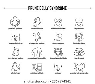 Prune Belly Syndrome symptoms, diagnostic and treatment vector icons. Line editable medical icons.