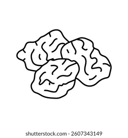 prune dry plum line icon vector. prune dry plum sign. isolated contour symbol black illustration