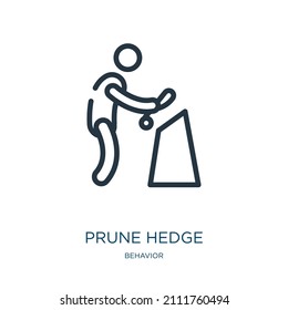 prune hedge thin line icon. pruning, hedge linear icons from behavior concept isolated outline sign. Vector illustration symbol element for web design and apps.