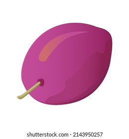 Prune isolated on white background. Vector illustration of fruit.