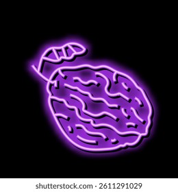 prune plum dry neon light sign vector. prune plum dry illustration