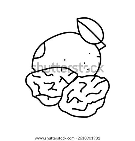 prune plum line icon vector. prune plum sign. isolated contour symbol black illustration