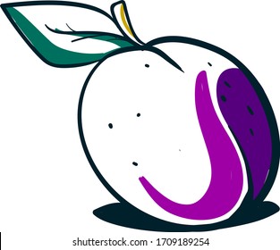Pflaumenskizze, Illustration, Vektorillustration auf weißem Hintergrund.