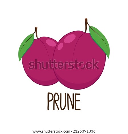 Prunes cartoon vector. symbol. logo design. Prunes on white background.
