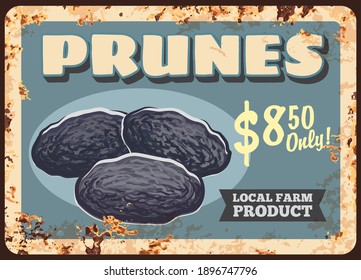 Prunes dried plums fruits rusty metal plate, food sweets and farm market price, vector vintage poster. Natural organic dried plums or prunes fruits, metal plate with rust grunge