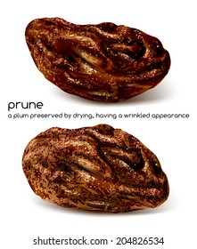 Prunes. Vector illustration. 