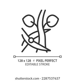 Pruning linear icon. Removing unnecessary branches. Tree trimming. Plant growth. Garden shear. Farming tool. Thin line illustration. Contour symbol. Vector outline drawing. Editable stroke