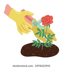 Pruning the plant at planting . Vector illustration