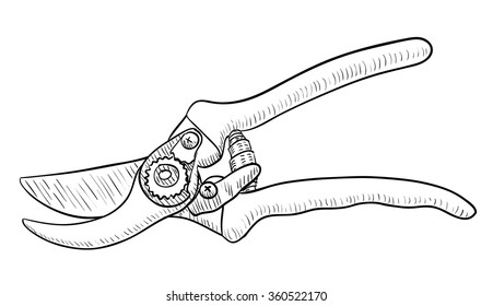 Illustration Hand Drawn Sketch Dimension of Pruning Shears, Hand Pruners or  Secateurs. A Garden Tool Used to Used to Cut, Remove and Trim Branches of  Stock Vector Image & Art - Alamy