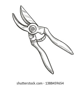 Pruning shears, garden secateurs or hand pruners, sketch style, vector illustration