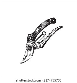 Pruning shears, garden secateurs or hand pruners. Vector illustration sketch style.