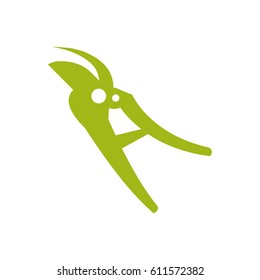 pruning shears gardening tool