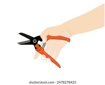 Pruning shears on a white background.