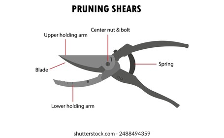 Pruning shears showing parts of the tool