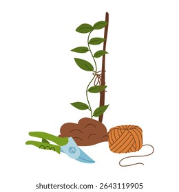 pruning shears, twine, and plant tied to a stick. Seasonal work. Gardening tools. Flat color illustration. It is suitable for the design of articles and educational materials on gardening and hobbies
