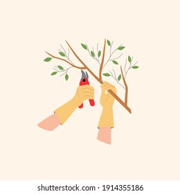 Pruning tree branches. Gloved hands hold a branch and cutting shears, the gardener takes care of the park. Vector illustration.