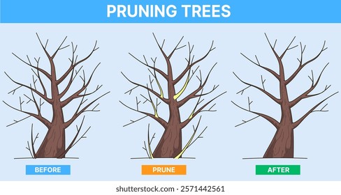 Pruning trees. Pruning Method. Educational illustration. Vector illustration. 