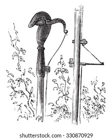 Pruning, vintage engraved illustration.