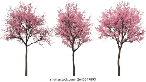 Prunus persica blossoming trees, frontal view, isolated on transparent background, vector illustration, spring bloom, tree clipart, floral tree, garden tree, nature plant, botanical art.