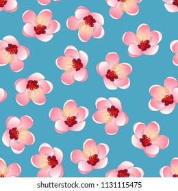 Prunus persica - Peach Flower Blossom on Blue Background. Vector Illustration. 