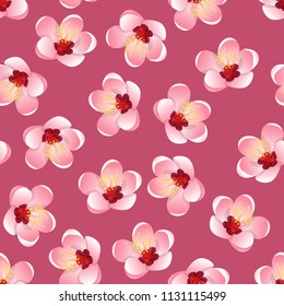 Prunus persica - Peach Flower Blossom on Pink Background. Vector Illustration. 