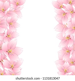 Prunus serrulata  - Cherry blossom, Sakura Border isolated on White Background. Vector Illustration.