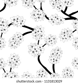 Prunus serrulata Outline - Cherry blossom, Sakura Outline on White Background. Vector Illustration.