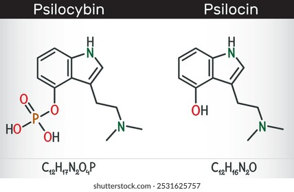 Moléculas de psilocina y psilocibina. Compuestos psicoactivos en ciertas especies de hongos. Formulas químicas estructurales. Ilustración vectorial