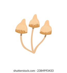 Hongo Psilocybe. Hongo venenoso y alucinógeno. Ilustración vectorial de dibujos animados con textura aislada en el fondo blanco.