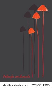 Psilocybe Semilanceata. Magic Mushrooms. Vector illustration.