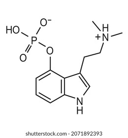 Psilocybin chemical formula, vectoral structure of molecule on white background