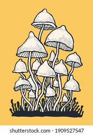 Psilocybin hallucinogenic magic mushrooms. Hand drawn design element. Engraving style. Vector illustration