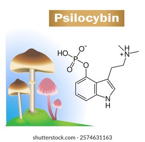 Psilocybin molecule in a mushroom. Psilocybin is the compound that causes hallucinogenic effects. Science education illustration